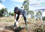 Jaga Kelestarian Danau Toba, BRI Peduli “Grow and Green” Tanam 2.500 Bibit Pohon di Samosir
