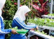 BRInita di Banjarmasin, Pemberdayaan Positif dan Menghasilkan dari Menanam di Lahan Sempit