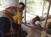 500 Ekor Sapi di Basel Sudah Divaksin LSD