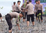 Sambut HUT Humas Polri ke-72, Polres Basel Tanam Pohon Mangrove di Pantai Tukak