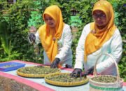 Berkat BRInita, Teh Herbal Jadi Produk Unggulan Poktan Bensor Semarang
