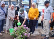 Ratu Dewa Gagas Palembang Warna-Warni, Bougenville Percantik Median Jalan LRT