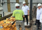 Kunjungi Pabrik Sagu PT BAA, Pj. Bupati Bangka Ajak Masyarakat Tanam Pohon Rumbia