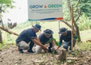 Bangkitkan Harapan Petani di Lahan Kritis, BRI Menanam Grow & Green Salurkan Bantuan Tanaman Produktif