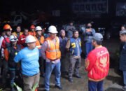 Ratu Dewa Pastikan Palembang Terang Benderang, 400 Lampu di Alang-alang Lebar Jadi Sasaran