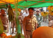 Kendalikan Harga, Pemkab OKI Adakan Pasar Murah