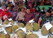 Bupati Bangka Selatan Berharap Durian Desa Nangka Lebih Dikenal Masyarakat Luas