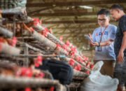 Bidik 3,7 juta Pelaku UMKM, BRI Targetkan Penyaluran KUR Rp165 Triliun Rampung Pada September 2024