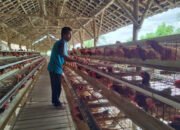 Awalnya Terhimpit Pandemi Kini Klaster Usaha Ini Berkembang Berkat Program BRI KlasterkuHidupku