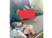 Kakek Nelayan Sungkur Udang Terasi Diserang Buaya di Perairan Mempunai Bangka Selatan