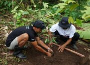 Menanam Tanaman Produktif di Lahan Kritis, BRI Grow & Green Berdayakan Dua Kelompok Tani di Bali