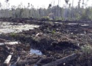 Polemik Jual Beli Lahan, Ini Kata Kades Bikang