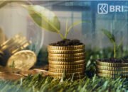 Dana Kelolaan Reksadana Tumbuh 13%, BRI-MI Sabet Top 5 Manajer Investasi di Tahun Pertama Gabung BRI Group
