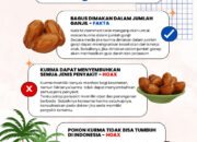 CEK FAKTA SEPUTAR KURMA