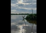 Lubuk Larangan Solusi untuk Menjaga Kelestarian Sungai di Sumatera Selatan