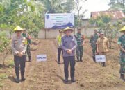 Jaga Ketahanan Pangan, Pemkab Lahat Luncurkan Macak