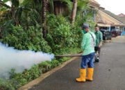 Antisipasi DBD, Pj Walikota Minta Camat Turun Tangan Jemput Bola