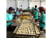 Berdiri Sejak 1962, Usaha Bakpia Penerima KUR BRI Ini Jadi Tempat Oleh-Oleh Favorit di Yogyakarta