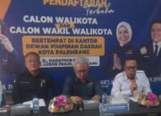 Nandriani Oktarina Ambil Formulir Cawawako di 4 Partai