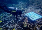 BRI Menanam Grow & Green Bantu Jaga Ekosistem Laut dan Kembangkan Potensi Wisata Daerah