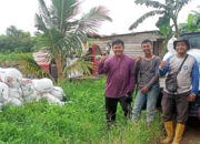 Panen Padi Pertama Bumdes Sentosa Jaya Panca Tunggal: Tingkatkan Ekonomi Desa
