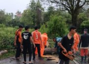 Respons Cepat BPBD Muba Tuntaskan Pohon Tumbang yang Ganggu Akses Jalan Praja Permai