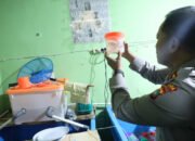 Direktorat Polairud Polda Babel Gagalkan 177.600 Benih Lobster Bernilai 35 Miliyar Lebih