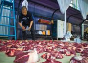 Peternak Kambing Ini Banjir Pembeli Dari Berbagai Daerah, Sukses Kembangkan Usaha Berkat Pemberdayaan BRI