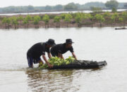 Upaya Nyata Menyelamatkan Lahan Kritis Akibat Abrasi, BRI Salurkan Ribuan Bibit Mangrove Kelompok Tani di Muaragembong