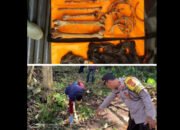 Identitas Kerangka Manusia Yang Ditemukan Warga Desa Durian Remuk Musirawas  Terungkap.