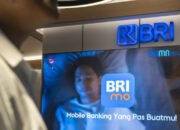 Tambah 14 User Baru Per Menit, Berikut Sederet Fakta Menarik Soal BRImo