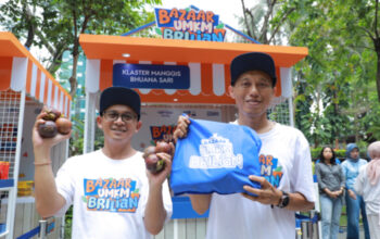 Program Pemberdayaan BRI dorong Klaster Usaha Manggis di Bali Perluas Jaringan Pemasaran