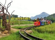 BRI Kembali Gelar Program Desa BRILian 2025, Wujud Nyata Dukung Asta Cita Pemerintah dalam Membangun dan Memberdayakan Desa