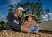 Dorong Perputaran Ekonomi Grassroot, BRI Salurkan Kredit di Segmen Mikro Sebesar Rp632,22 Triliun