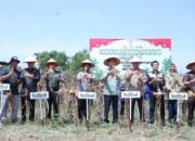 Ratu Dewa Hadiri Zoom Meeting Panen Raya Jagung Bersama Presiden Prabowo