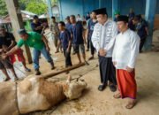 WARGA MUBA SEMBELIH SAPI PRESIDEN: Momen Berkah Idul Adha yang Penuh Makna
