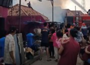 Si Jago Merah Mengamuk di Tanah Abang, 2 Rumah Ludes