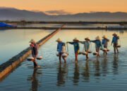 BRI Raih Penghargaan di Kehati ESG Award 2025, Bukti Nyata Komitmen Keuangan Berkelanjutan