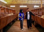 Penyaluran KUR BRI Dorong Setengah Juta Pengusaha UMKM Naik Kelas