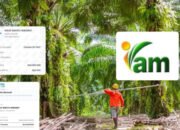 Oknum Asisten Humas Manager Inti Agro Makmur Diduga Kuat Jual Hasil Plasma Masyarakat