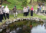 Targetkan 8 Juta Ikan, Bupati Lahat Fokus Tingkatkan Sektor Perikanan Air Tawar