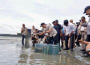 Sumbang Devisa, Tambak Udang OKI Dipasok Listrik Andal