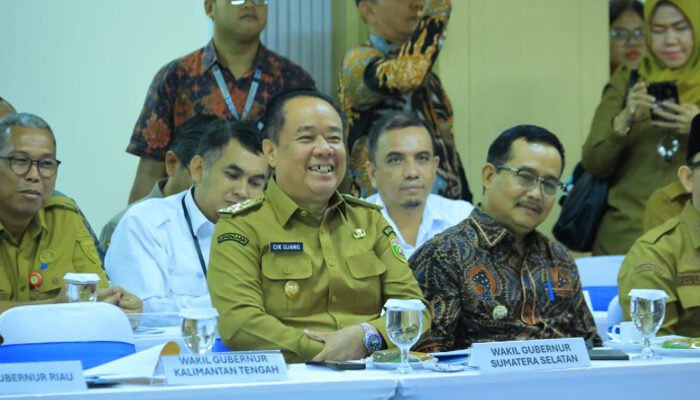 Rakor Nasional Karhutla 2026, Wagub Cik Ujang Dorong Penguatan Sinergi dan Status Siaga Dini di Sumsel