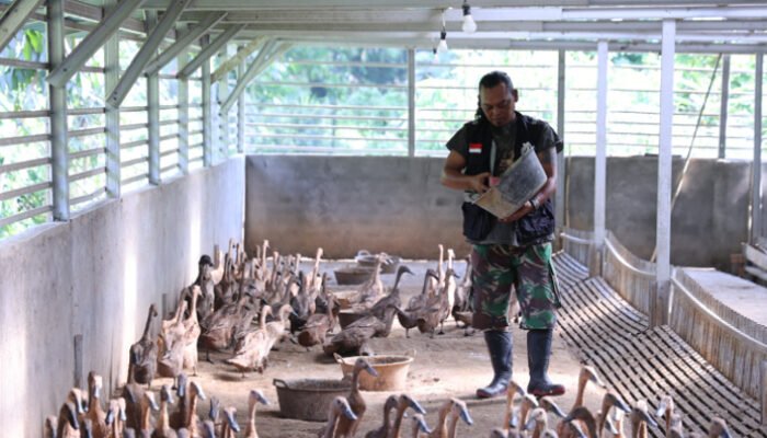 Bangun Ekonomi Lokal Berkelanjutan, PTBA Tingkatkan Kompetensi Kelompok Budidaya Itik Petelur