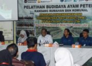 Punya Prosepek, Warga Merapi Timur Budidaya Ayam Petelur