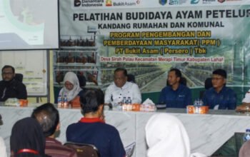Punya Prosepek, Warga Merapi Timur Budidaya Ayam Petelur