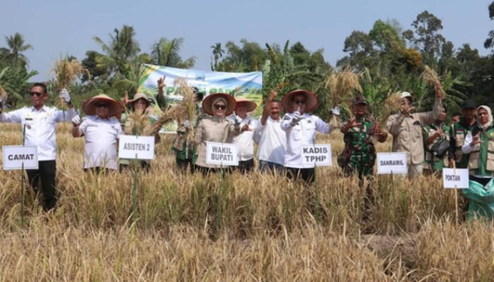 Wabup Lahat Bersyukur Hasil Produksi Pertanian Meningkat