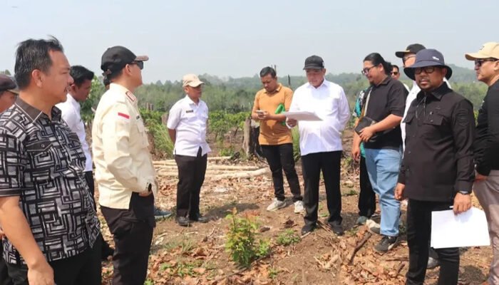 Jangan Cuma Jadi Batu Tua, Bursah : November, Situs Megalith Tinggi Hari Sudah Berubah