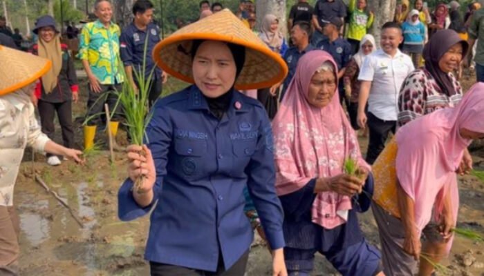 Dorong Petani Tingkatkan Produksi