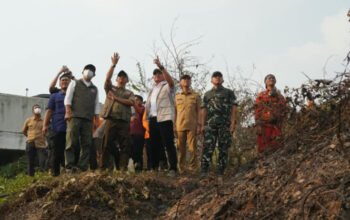 Menhut dan Kepala BNPB Tinjau Karhutla OKI, 11 Fire Spot Jadi Perhatian